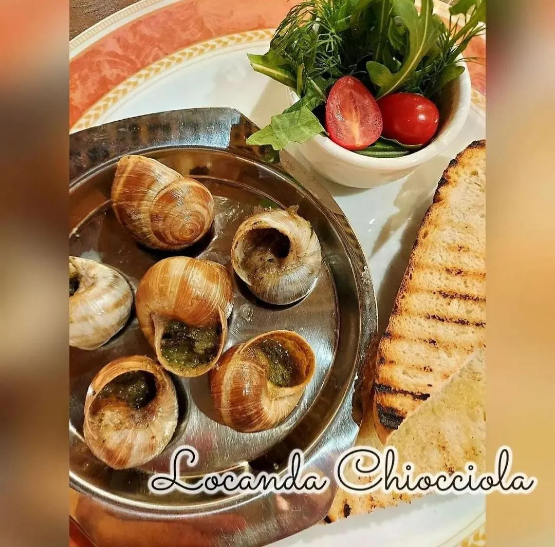 بيت ضيافة Locanda Chiocciola Quero إيطاليا